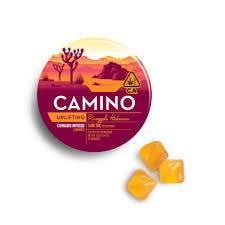 Kiva Camino | Pineapple Habanero Gummies 100mg