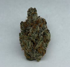 DeathByBoof-Flower|Hybrid|BSC|3.5g