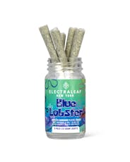 BLUE LOBSTER | 5-Pack