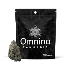 OMNINO | GLITTER BOMB | HYBRID | DELI-STYLE FLOWER | REC