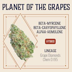 Elevate: Flower | Planet of the Grapes | 3.5g