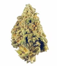 Gold Shelf - Sherblaster (I)