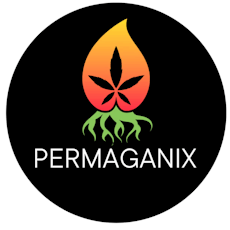 Moonshine Ghost Train Haze | Flower Bar