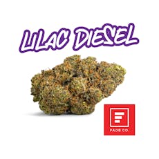 Lilac Diesel | 3.5g