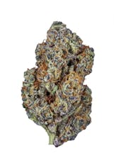Blue Lobster | Flower | Hybrid | Dime Bag (1.0g) | Grassroots