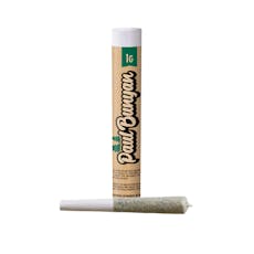 Alien Pebbles Pre-Roll 1g