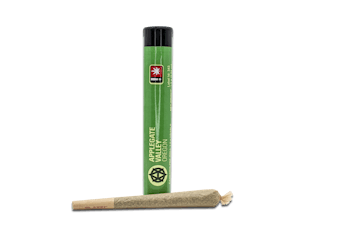Apple Fritter 1G Preroll