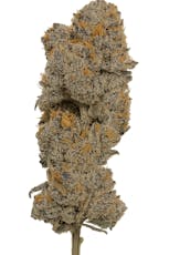 Perm BX Pre-Roll Pack 2.1g 3pk