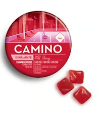 Kiva Camino Gummies Wild Cherry Hybrid - 100mg 1:1:1 THC:CBC:CBG