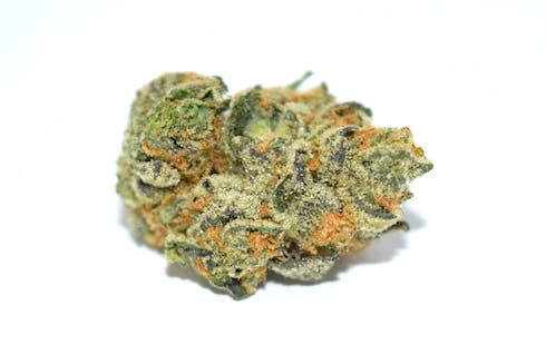 15' GSC