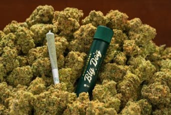 Lemon Drip Single Pre Roll | 1g