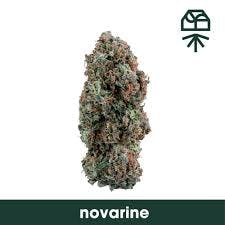 Grassroots - Novarine (S) - 35.76% - Flower - 3.5g
