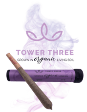Black Maple | Pre-Roll | 1g