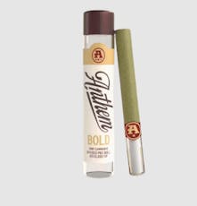 Bold Glass Tip Northern Lights Infused Pre-Roll 1g