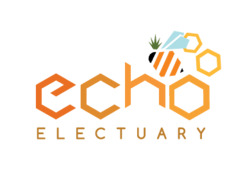 Echo Electuary XL Battery