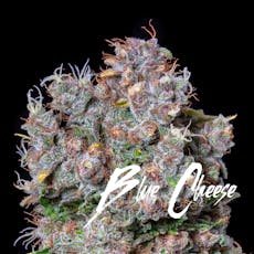 Blue Cheese: 510 THC Cartridge (0.5g) - AltSol