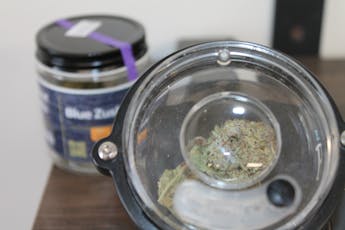 Northeast Kannabis I Blue Zushi