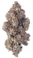 Khalifa Kush - Khalifa Kush