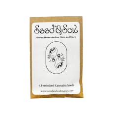 Seed Package - Headband - 5pk