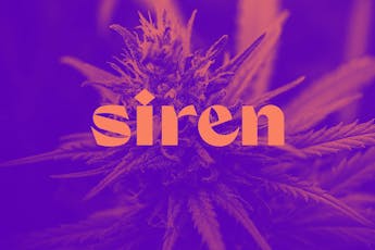 Siren | Jokerz