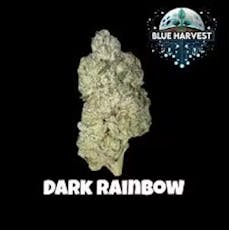 Blue Harvest - Dark Rainbow - 1g