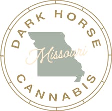 Dark Horse Medicinals: Infused Pre-Roll | Green Dream | 1g
