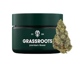 Grassroots | Orange Z | Sativa | 3.5G | Flower | 28.86% THC