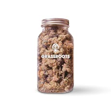 GRASSROOTS | TITAN EXPRESS BULK DELI FLOWER