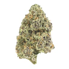 HYH Society | R-Bullz