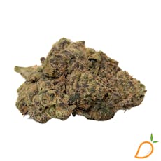 Purple Haze - Flower of Life