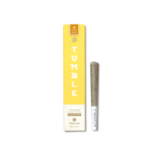 Timeless - Tumble - Infused Preroll - Jungle Punch (S) (1.0g)