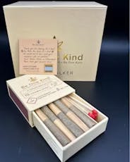 Be One Kind | 10 Pk Mini Trailblazers | Gary Poppins x Short Circuit | Indica