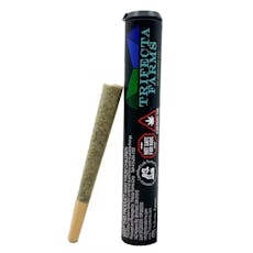 Melted Marshmallowz | Preroll | 1g