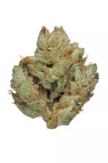 Silver Shelf- Guava Pie (S)