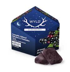 Elderberry 2:1 | 100mg 10pk Gummies