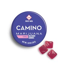 CAMINO - GUMMIES - 300MG - 10PK - WILD BERRY CHILL
