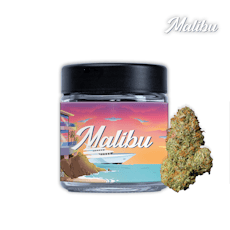Seed Junky 3.5g - Malibu