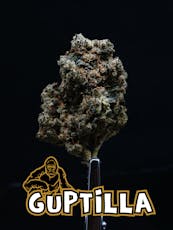 Flower - Guptilla - Top Shelf