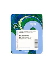 Live Rosin BLUEBERRY x BLUEBERRY 2.0 | 10-Pack