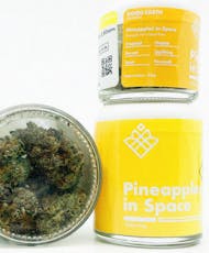 Good Earth FL Pineapples in Space 7g