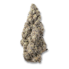 Bostica Lobzter | 3.5g