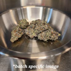 CMS Gardens | White Truffle | Deli Style