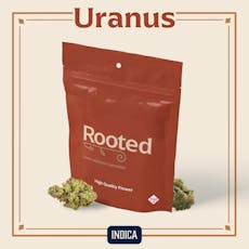 ROOTED - PREPACK - 3.5G - URANUS - INDICA