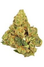 Core | Honey Buns 3.5g