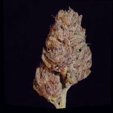 Fudge Puddles - 3.5g Top Shelf Flower