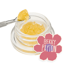 Berry Payton Live Sugar