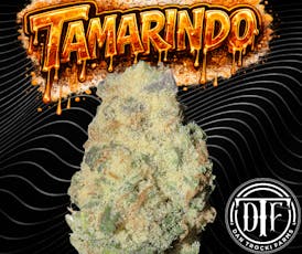 Tamarindo | Flower | 3.5G