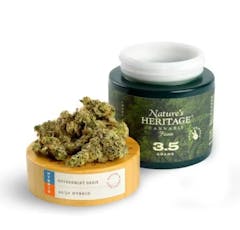 Government Oasis - 3.5g