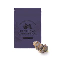 Back Home Cannabis | Original Glue | Hybrid | Flower | 3.5g