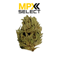 MPX White Gorilla Flower
